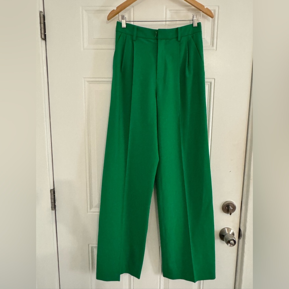 Area pleated trouser